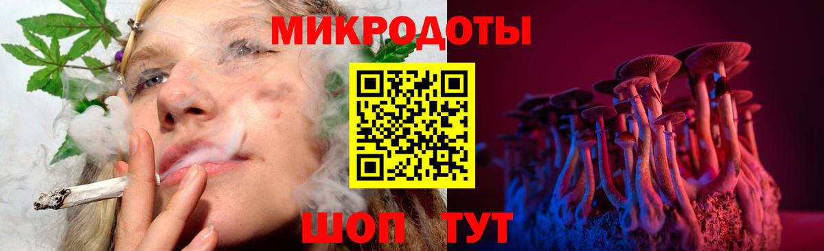 Псилоцибиновые грибы Psilocybine cubensis Ханты-Мансийск